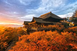 Khách Việt nhộn nhịp săn tour xuất ngoại ngắm lá đổi màu