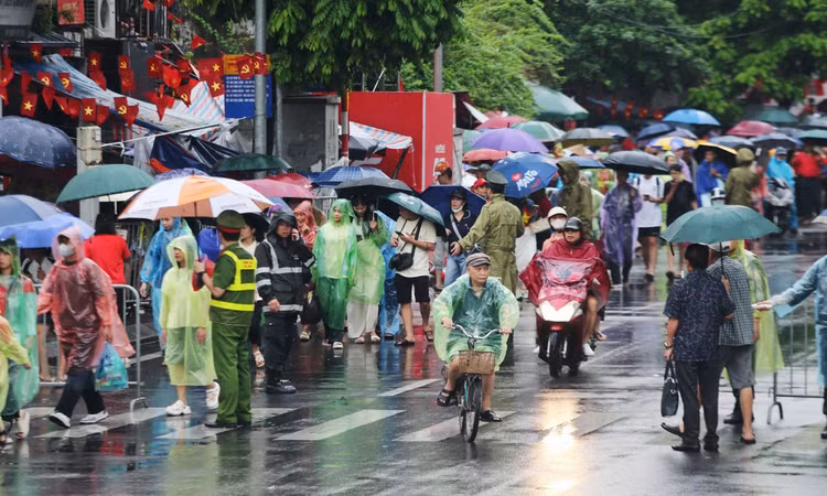 thaihoc3.jpg