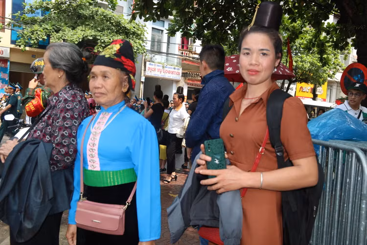 Hoa chung nhip tu hao ngay ky niem 70 nam chien thang Dien Bien Phu-Hinh-9