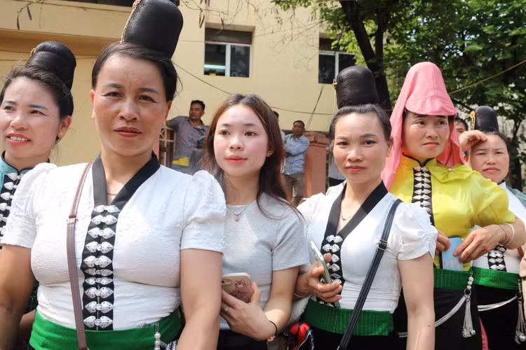Hoa chung nhip tu hao ngay ky niem 70 nam chien thang Dien Bien Phu-Hinh-10