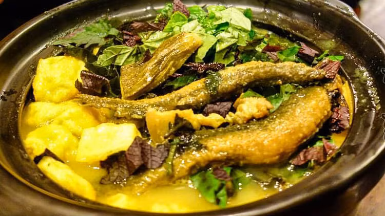 Loai ca vo dich ve canxi, duoc vi nhu nhan sam nuoc cua Viet Na-Hinh-9