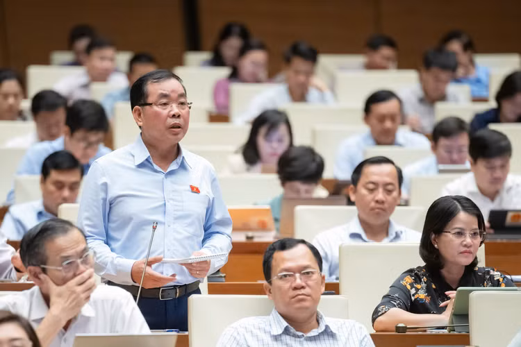 ĐBQH: Tránh tình trạng cứ xin đất làm đô thị, sau không có hạ tầng DBQH: Tranh tinh trang cu xin dat lam do thi, sau khong co ha tang