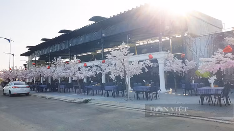Can Tho: Can canh nha hang San Bay rong 1000m2 xay tren dat lua-Hinh-9
