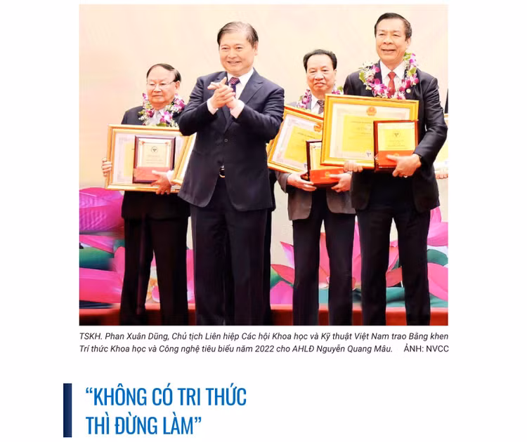 e-ahld-nguyenquangmau-3.jpg