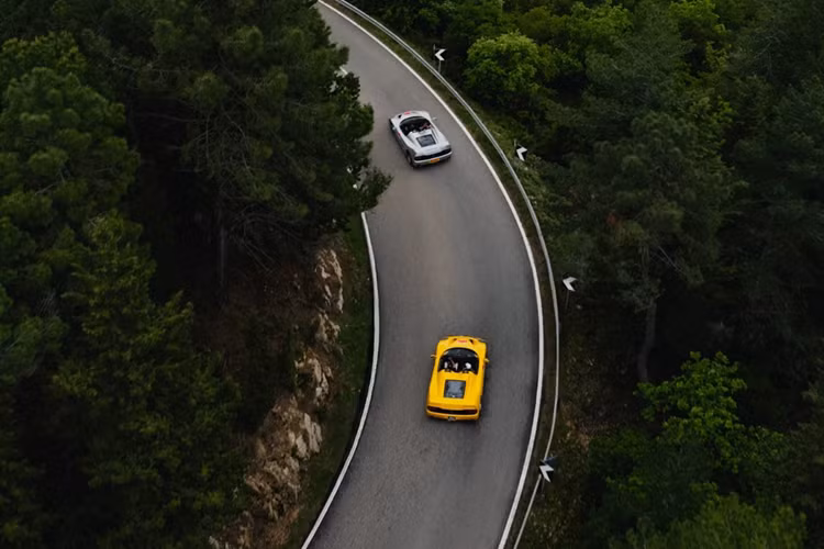 7-8026.png