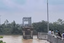 Cục Đường bộ đề xuất xây mới cầu Phong Châu bằng vốn ngân sách Nhà nước