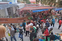 Du khách chen chân tại ngôi đền linh thiêng bậc nhất đất Cảng