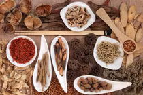 “Thần dược” chữa phì đại tiền liệt tuyến