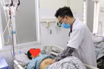 Ăn lá lộc mại kèm thịt chó, người phụ nữ khỏe mạnh nhập viện cấp cứu