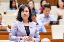 BỘ Trưởng Bộ Y tế Đào Hồng Lan trả lời tại Quốc hội