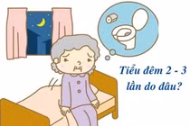 Tiểu đêm 2-3 lần do đâu?