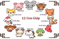 Dự đoán ngày mới 08/09/2023 cho 12 con giáp: Sửu thuận lợi, Thân hao tài 