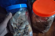 Thêm 2 vụ ở Quảng Nam bị ngộ độc sau khi ăn cá muối ủ chua
