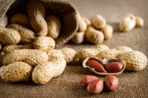 Vì sao nên ăn đậu phộng vào mùa đông?