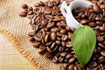 5 mẹo đánh bay mùi hôi siêu nhanh cho hộp nhựa