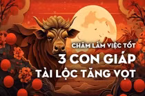 Chăm làm việc tốt, cuối năm 2024, 3 con giáp tài lộc tăng vun vút 