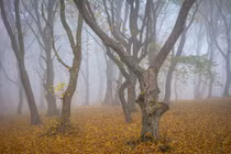 Top điểm đến rùng rợn nhất hành tinh