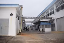 Nguyên nhân 61 công nhân Công ty VEGA BALLS ngộ độc khí