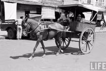 Loạt ảnh đặc sắc về cảnh mưu sinh trên đường phố Sài Gòn năm 1950