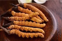 Khai quật "thủy mộ", chuyên gia thất kinh khi thấy thứ này