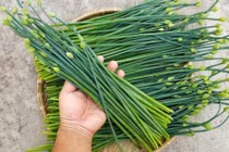 Loại rau được ví "thần dược chốn phòng the" giúp quý ông luôn sung mãn