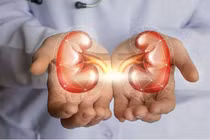 Thay đổi thói quen sinh hoạt mỗi ngày để thận luôn khỏe mạnh