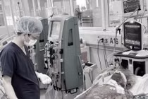 Người đàn ông nguy kịch sau khi mổ lợn