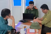 Hà Tĩnh: Bắt quả tang một đối tượng đang chặt phá rừng tự nhiên