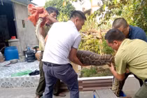Hà Tĩnh: Người dân bàn giao trăn “khủng” cho kiểm lâm thả về tự nhiên