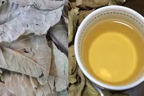 Tác dụng đáng ngạc nhiên của lá ổi khô