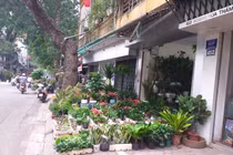 Vỉa hè đường Hoàng Hoa Thám bị chiếm dụng tràn lan