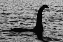 Rùng mình đụng trúng... “quái vật hồ Loch Ness" dạt vào bờ lúc đi dạo