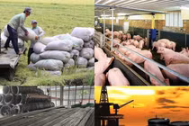 Giá cả thị trường hàng hóa ngày 23/4: Lúa gạo, xăng thép, tiêu... có biến động