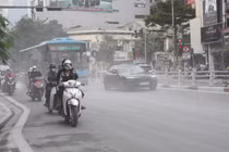 Khói bụi giao thông có thể làm tổn thương não?