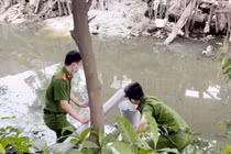 Vụ Cty Trung Anh bị phạt 300 triệu: Xả thải vượt chuẩn bao nhiêu lần?
