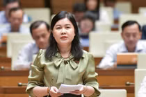 Đề nghị áp phí nội đô với ô tô cá nhân theo khung giờ