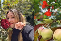 Khu vườn phủ sương, ngập hoa thơm quả ngọt của Kim Hiền ở Mỹ