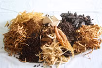 Vị khí hư sinh nấc, ợ hơi