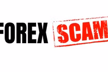 Pháp luật không bảo hộ cho Forex hay Wefinex