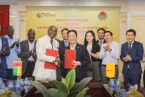 T&T Group thắng thầu thu mua điều thô tại Tanzania: Khai phá tiềm năng to lớn từ thị trường châu Phi