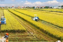 Cần chuyển đổi sản xuất nông nghiệp sang kinh tế nông nghiệp