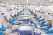 Năm 2025, xuất khẩu nông lâm thuỷ sản Việt Nam đạt 50 - 51 tỷ USD