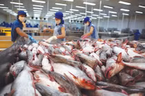 Tham gia EVFTA không chỉ để bán tôm, cá