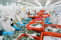  Xuất khẩu thủy sản giảm 1% so với cùng kỳ 