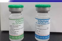 Không đủ tình nguyện viên - tạm dừng thử nghiệm giai đoạn 3 văcxin Covivac