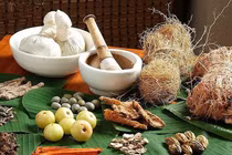 Thuốc Đông y trị ngứa âm đạo
