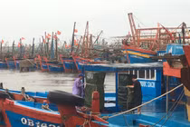 Quảng Bình: Di dời hơn 100 hộ dân để phòng chống bão số 13