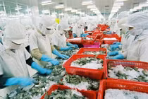Tăng trưởng xuất khẩu 9 tháng đạt 8,2% so với cùng kỳ