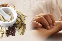 Thuốc Đông y điều trị viêm gan mật