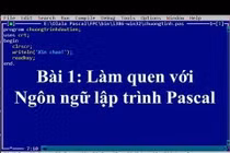 Ngôn ngữ lập trình Pascal không còn trong Tin học lớp 11 